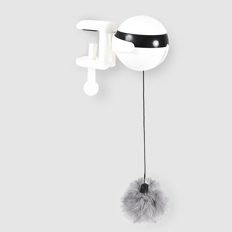 Dogs4Cats - Felixio Liftplay