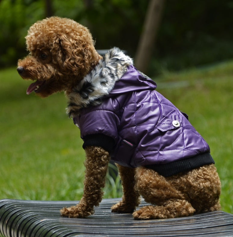 Dogs4Cats - Arctic Pup Jacke