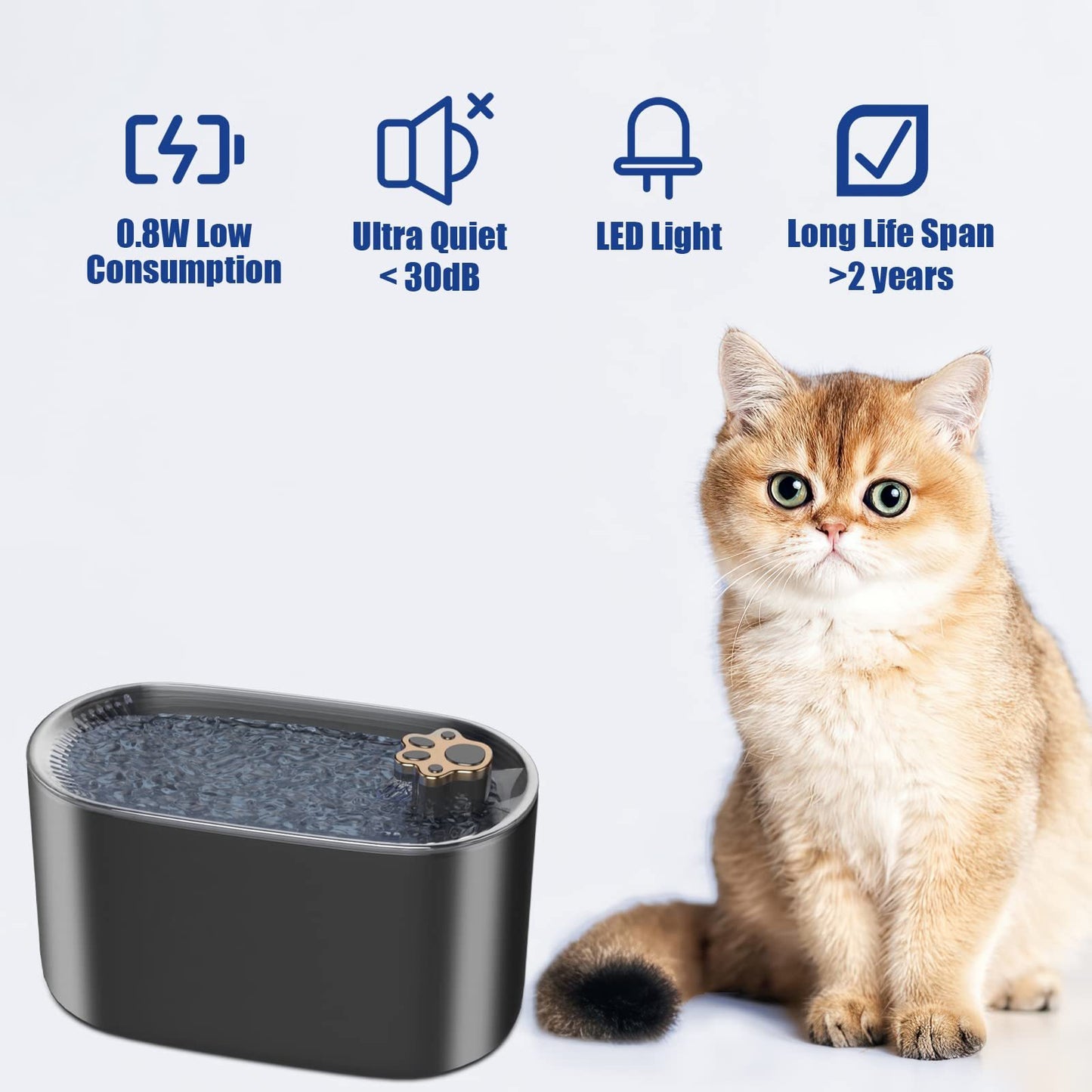 Dogs4Cats – AquaGlow