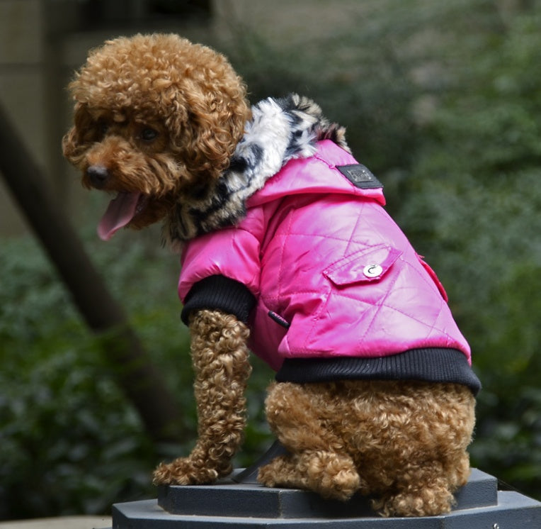 Dogs4Cats - Arctic Pup Jacke