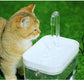 Dogs4Cats - AquaSip Fountain
