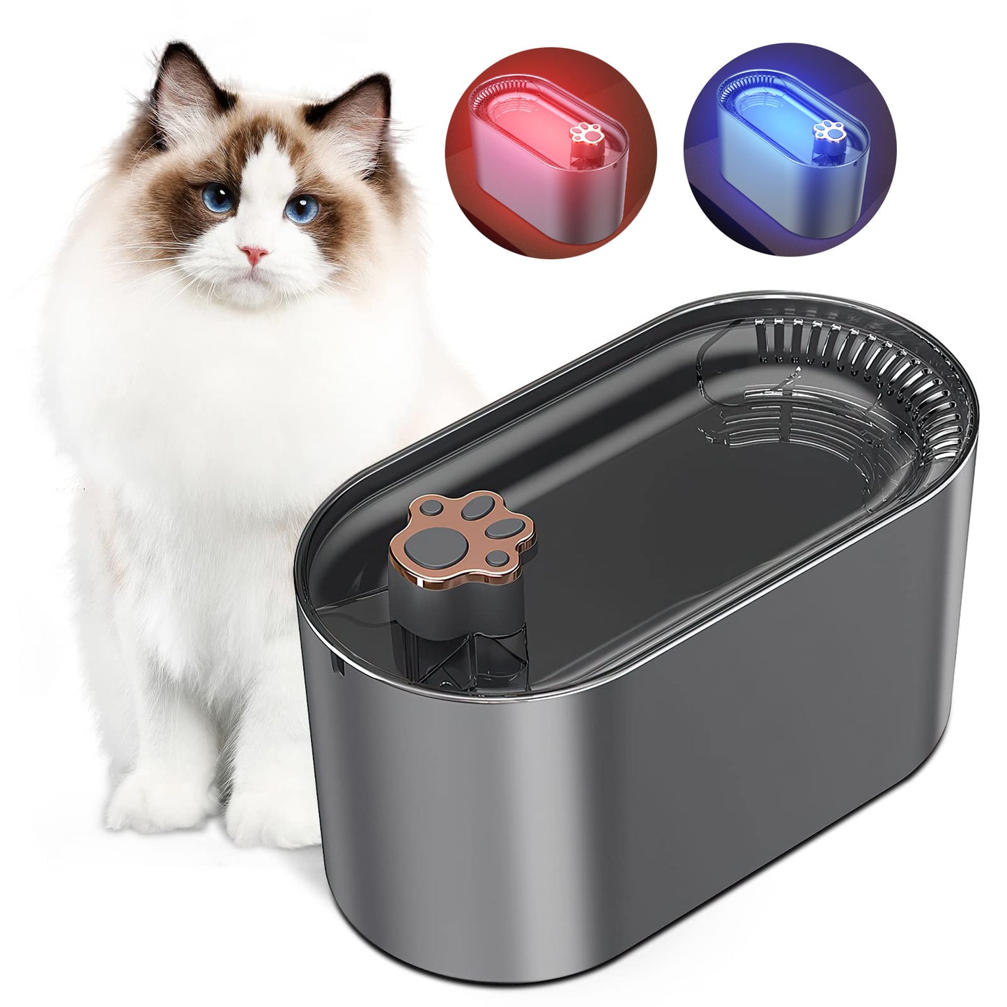 Dogs4Cats – AquaGlow